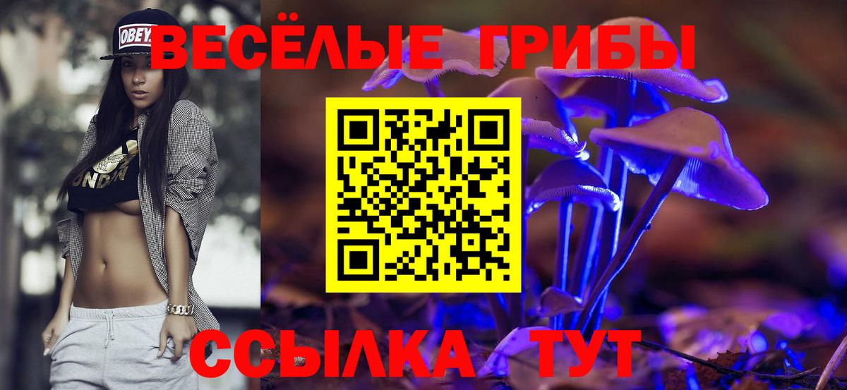 Галлюциногенные грибы ЛСД Тара